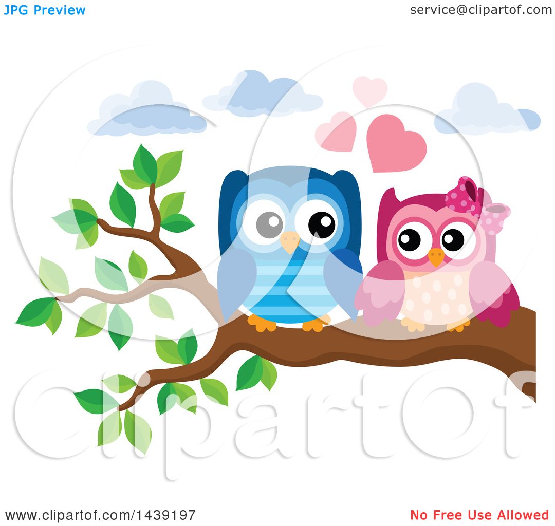 owl couple clipart - photo #20