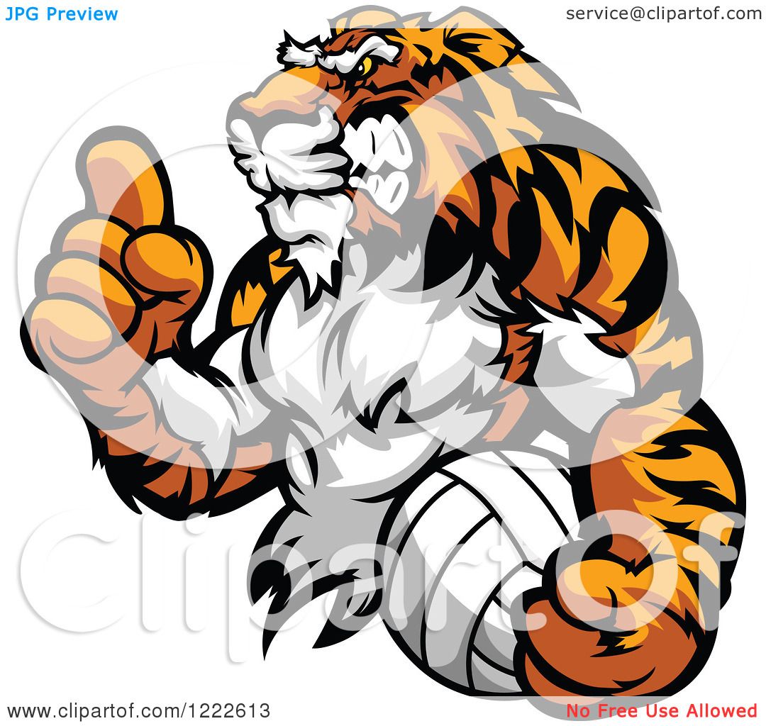 tiger volleyball clipart - photo #24