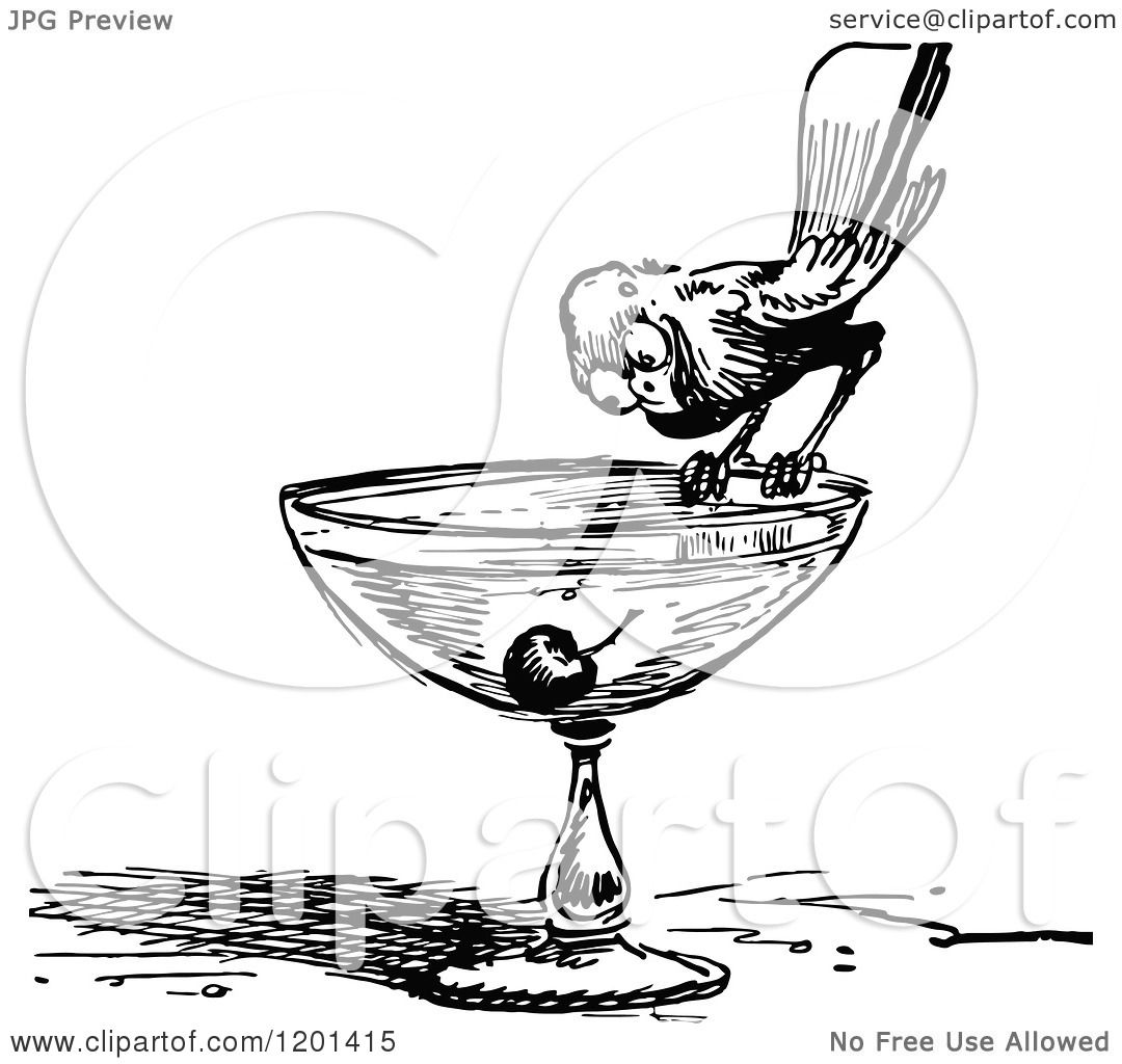 Clipart of a Vintage Black and White Bird Eyeing a Cherry on a Drink