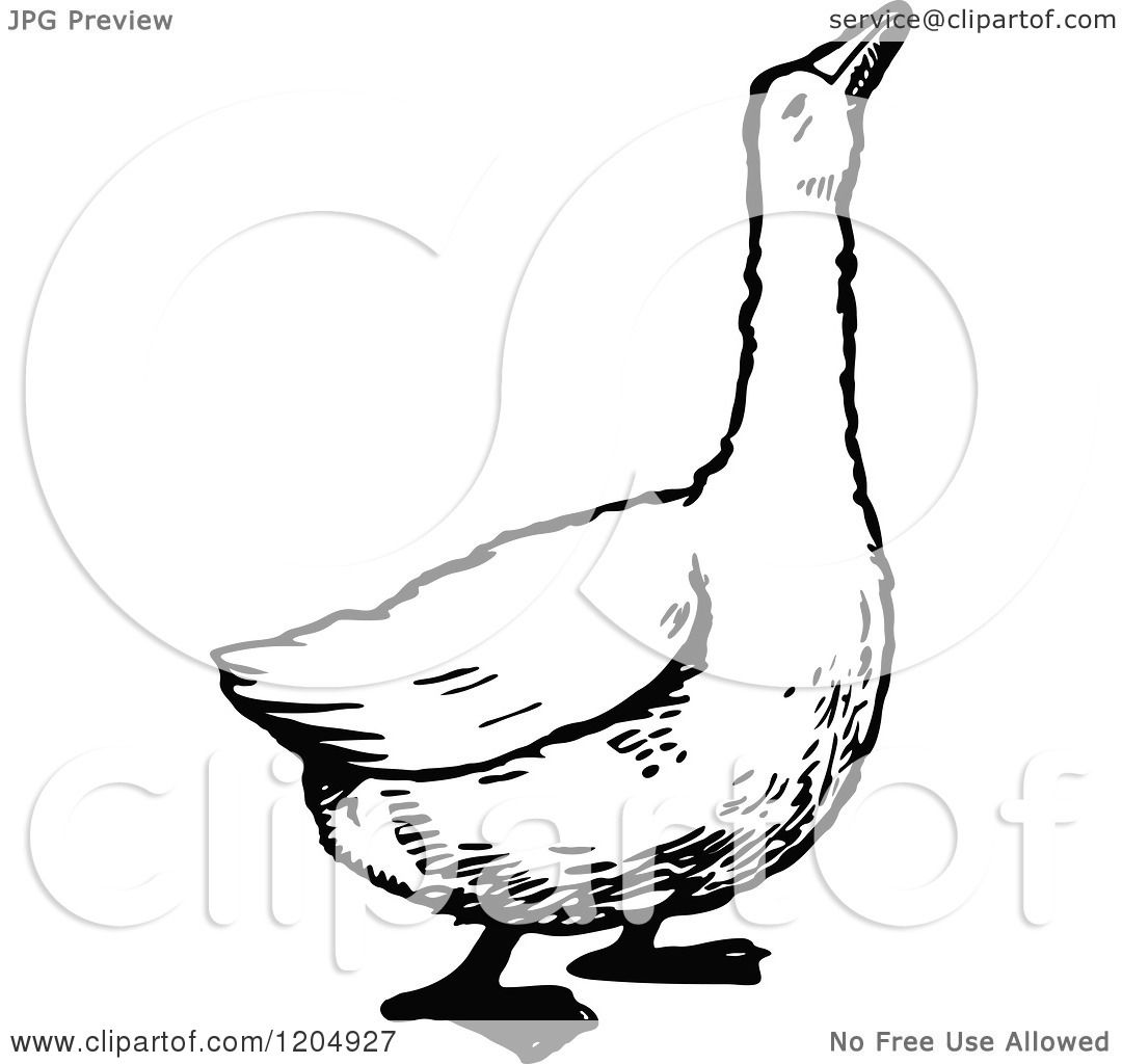 goose clipart black and white - photo #26