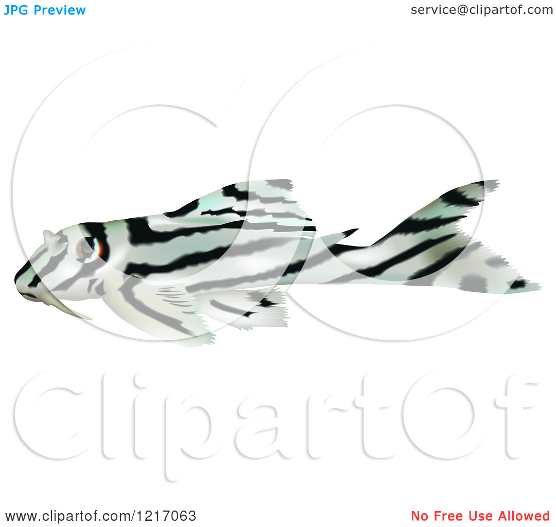 zebrafish clipart - photo #38