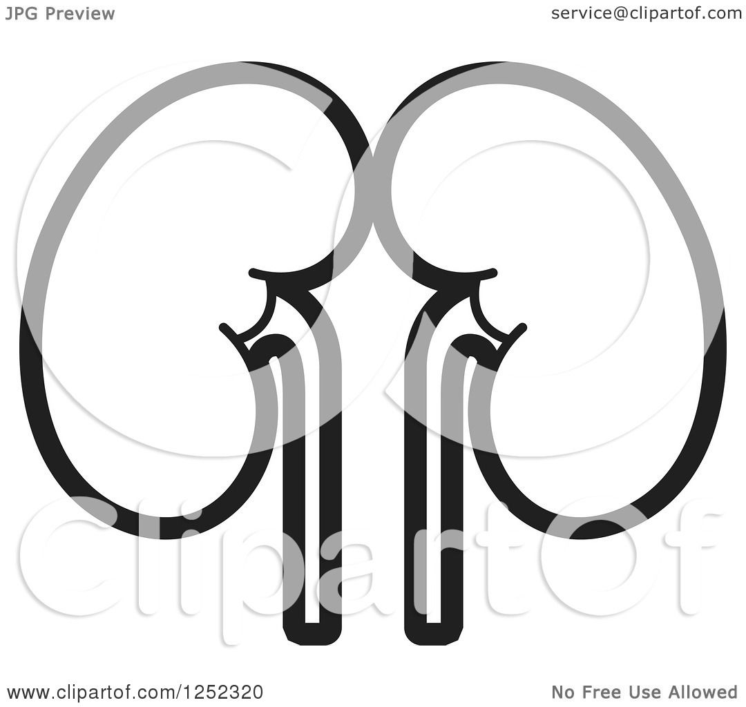 free cartoon kidney clipart - photo #43