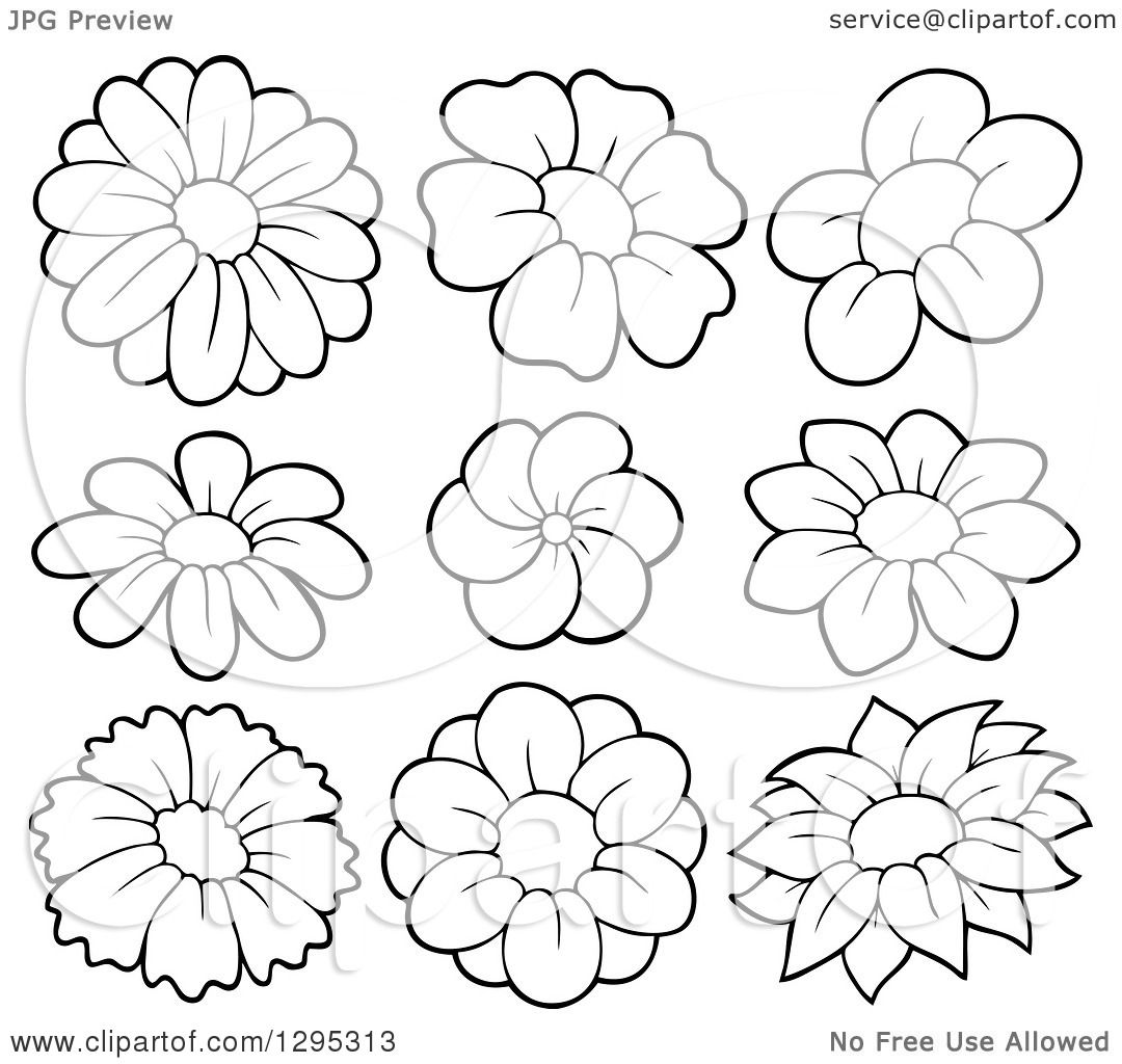 free spring flower black and white clipart - photo #36