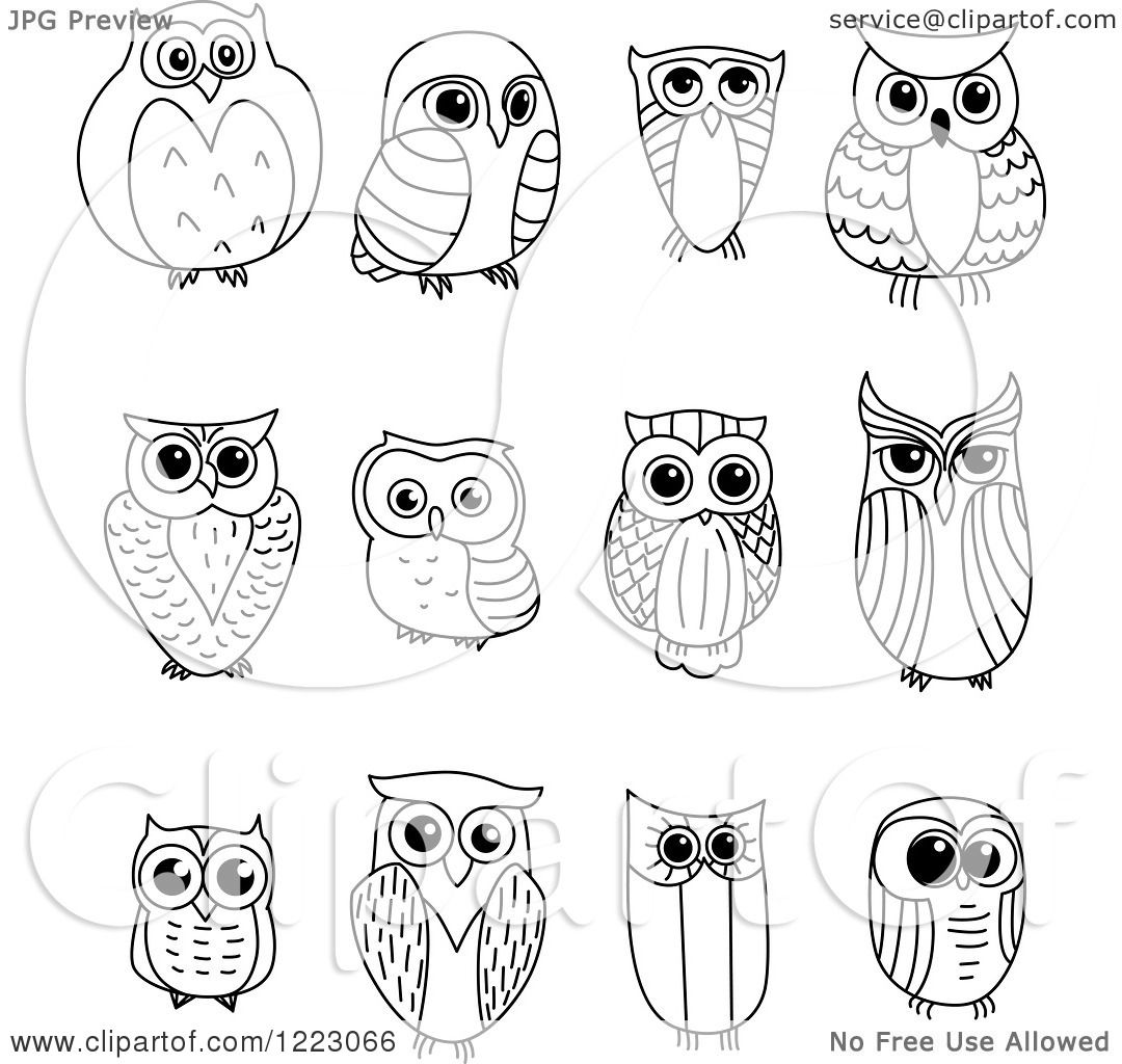 owl images clipart black and white - photo #43