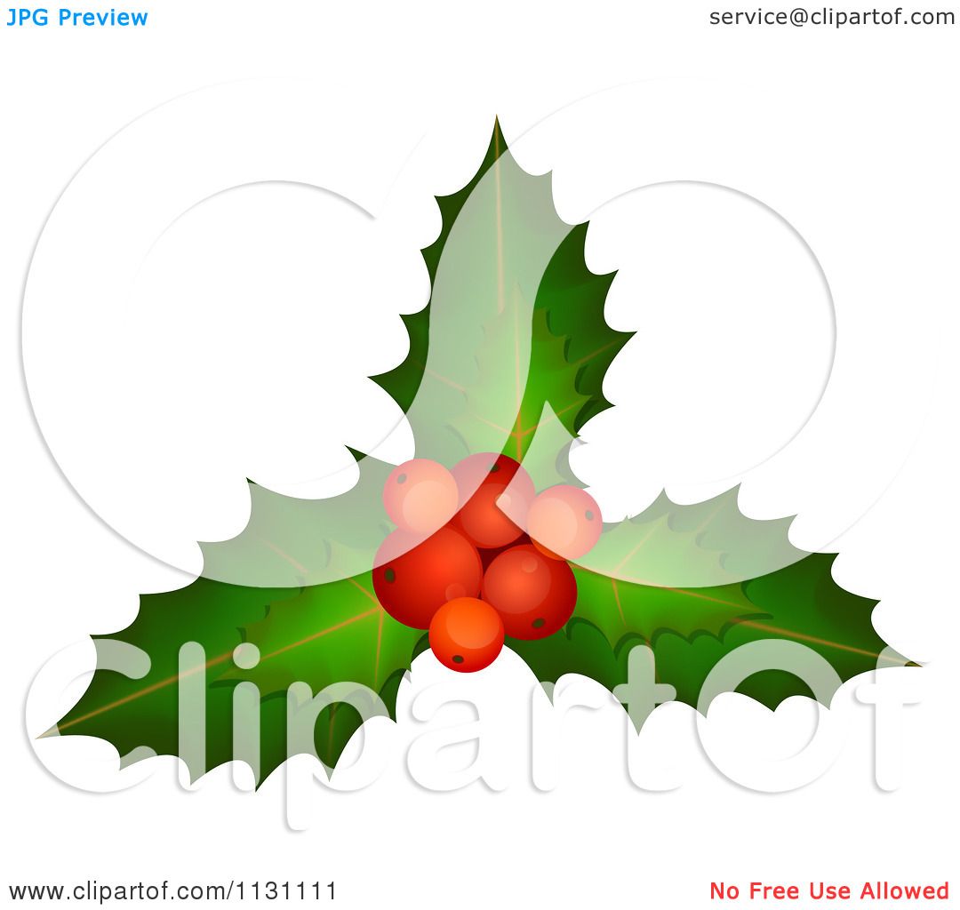 free clipart christmas holly leaves - photo #47