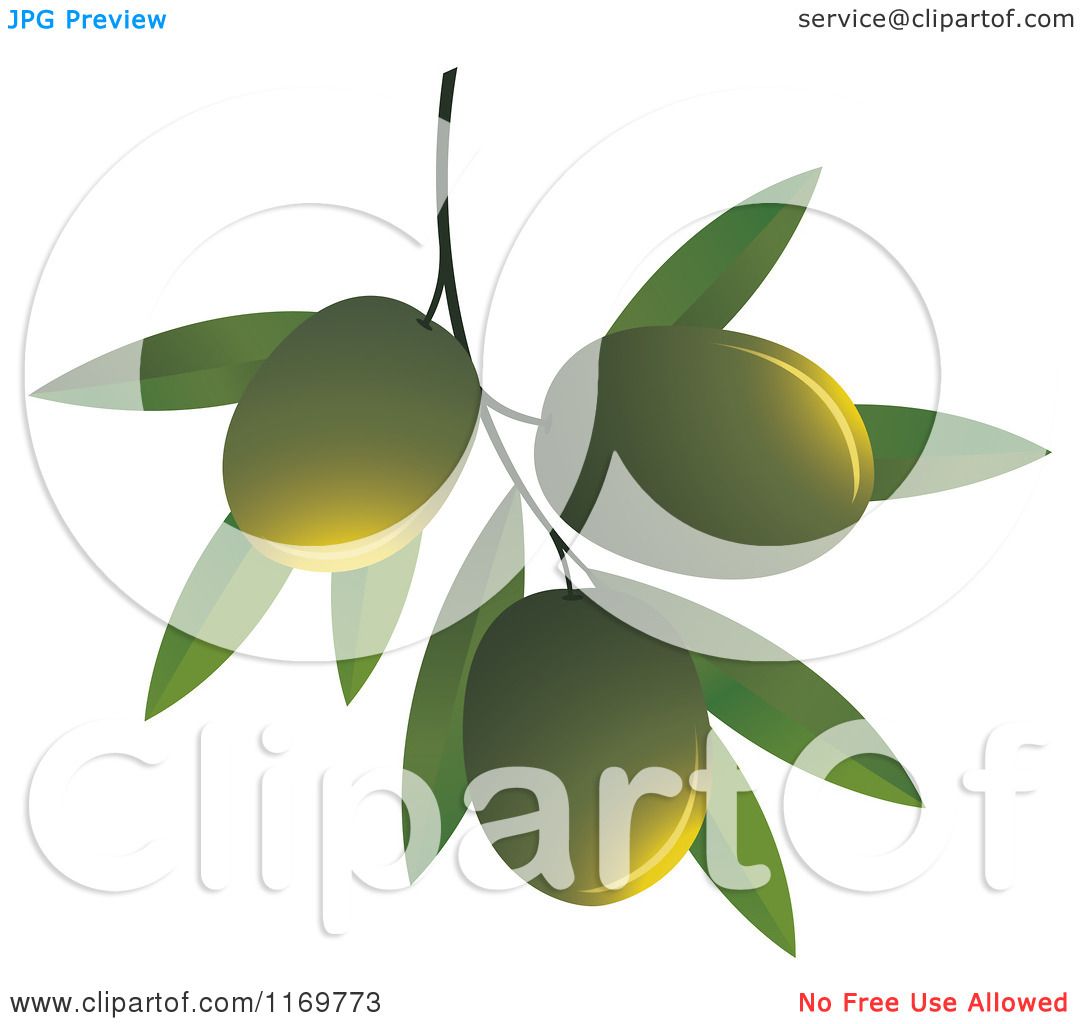 green olive clipart - photo #32
