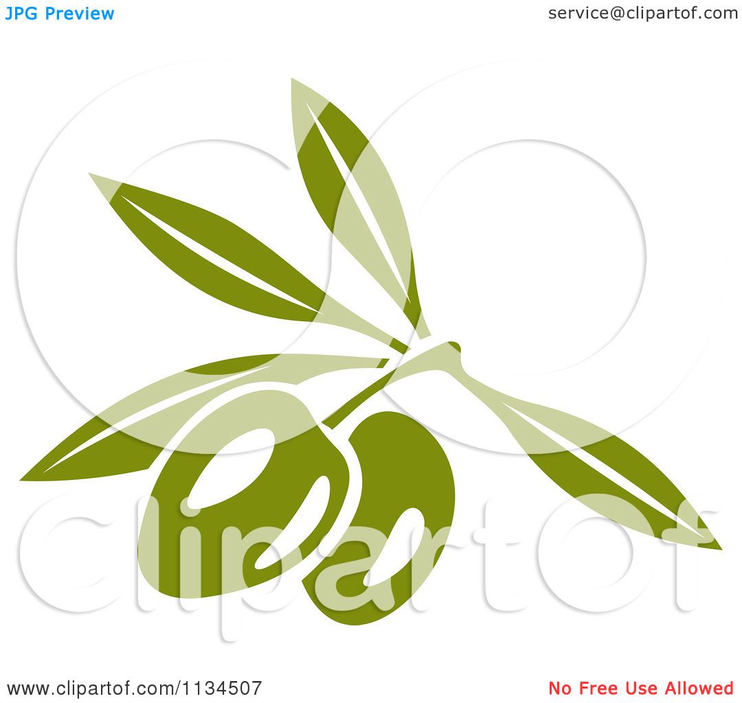 green olive clipart - photo #30