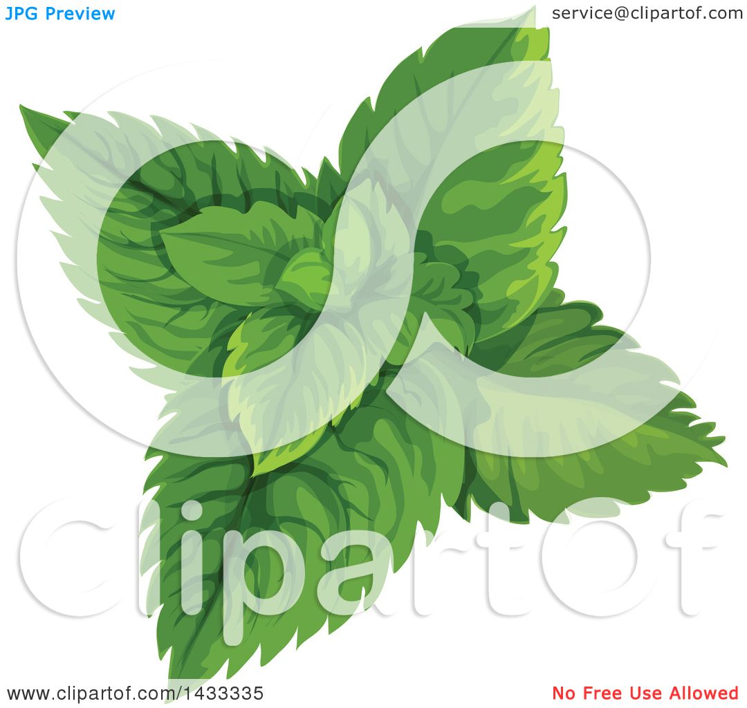 free mint leaves clipart - photo #28