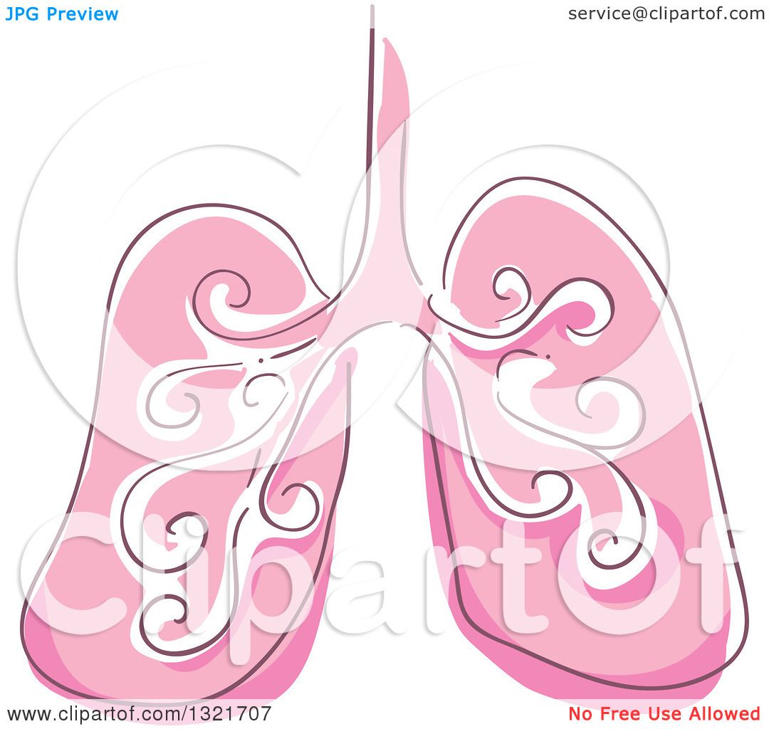 lungs clipart vector - photo #24