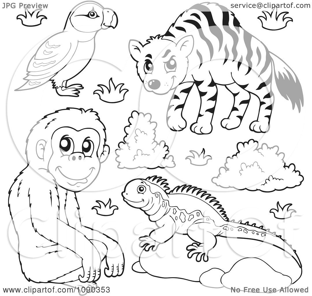 Zoo Animals Clipart Black And White