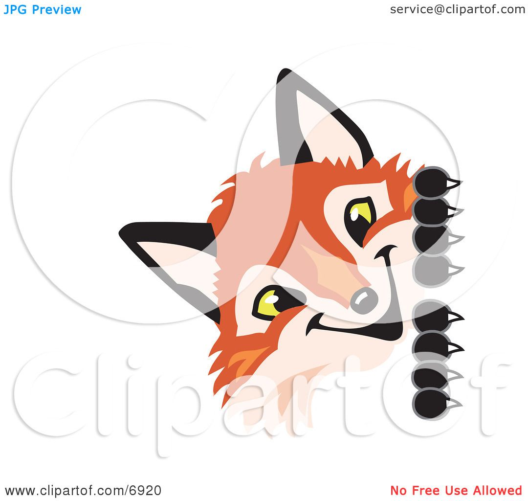 Clipart Picture of a Fox Mascot Cartoon Character Peeking ...