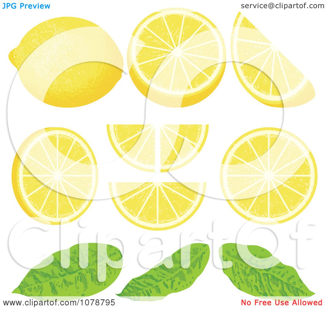 lemon wedge clip art - photo #42