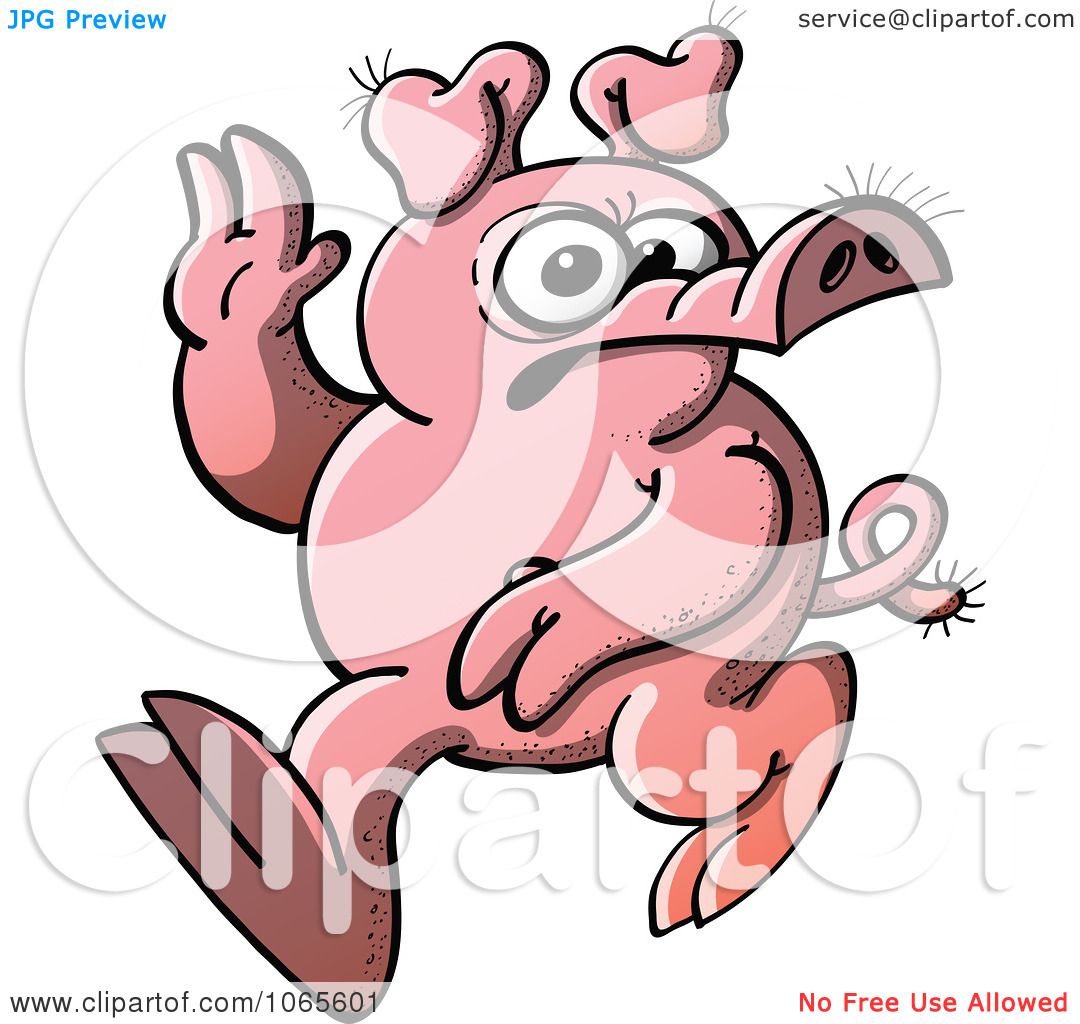 funny pig clipart - photo #49