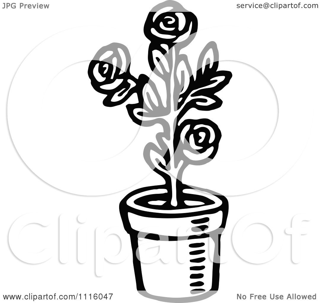 clipart of rose plant - photo #36