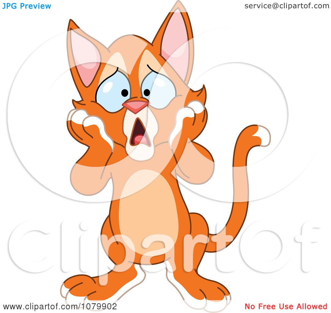 free clipart scared cat - photo #43