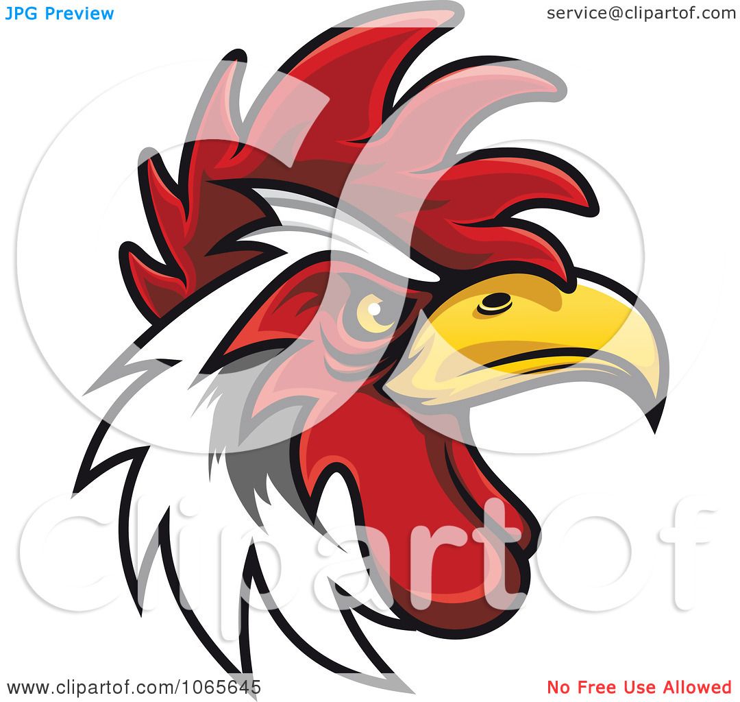 rooster vector clip art - photo #44