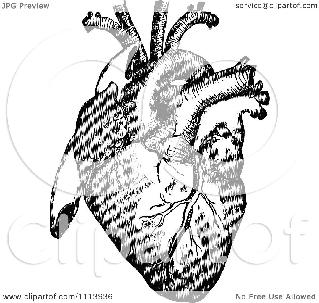 human heart clipart black and white - photo #26