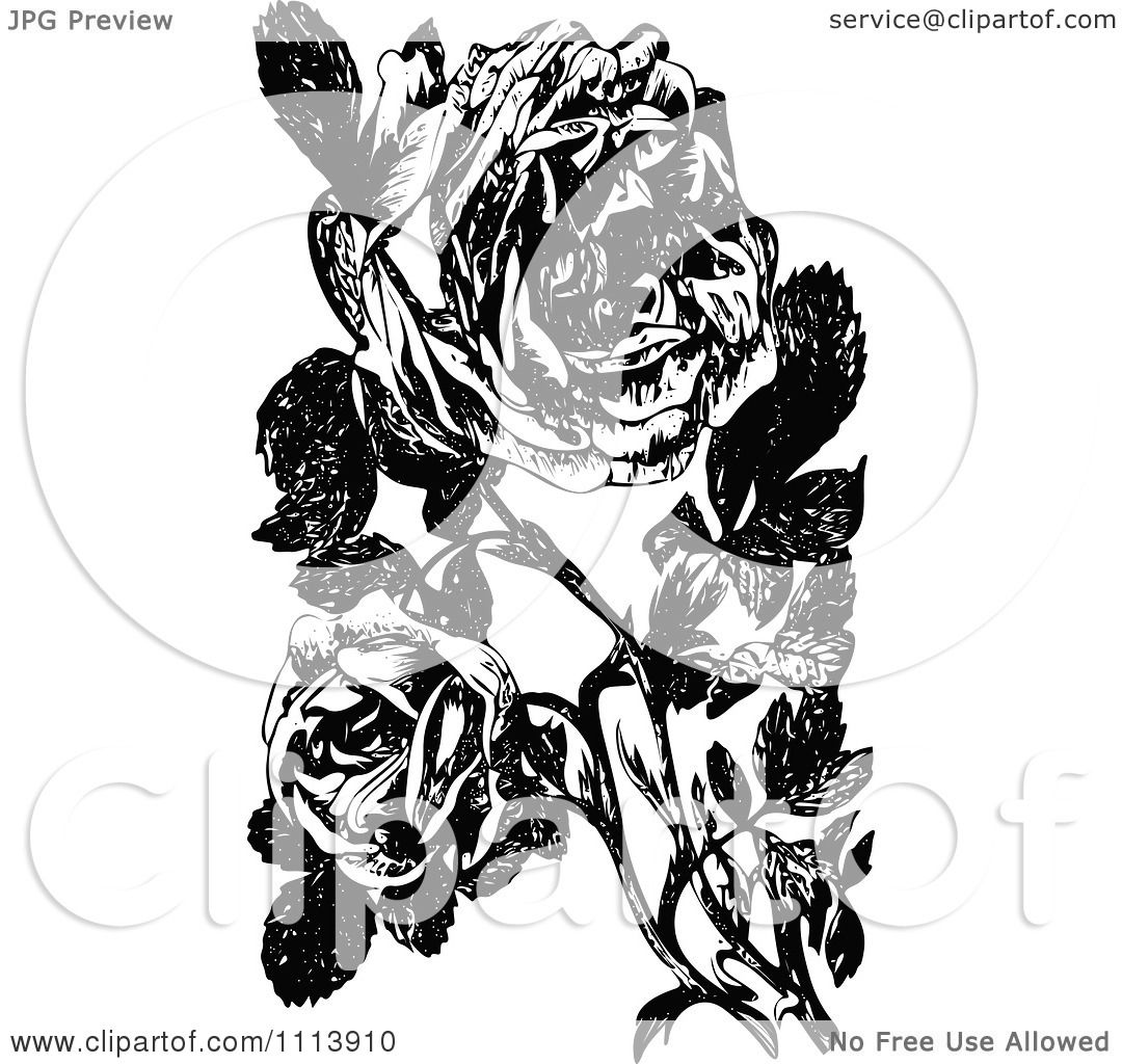 clipart rose of sharon - photo #29