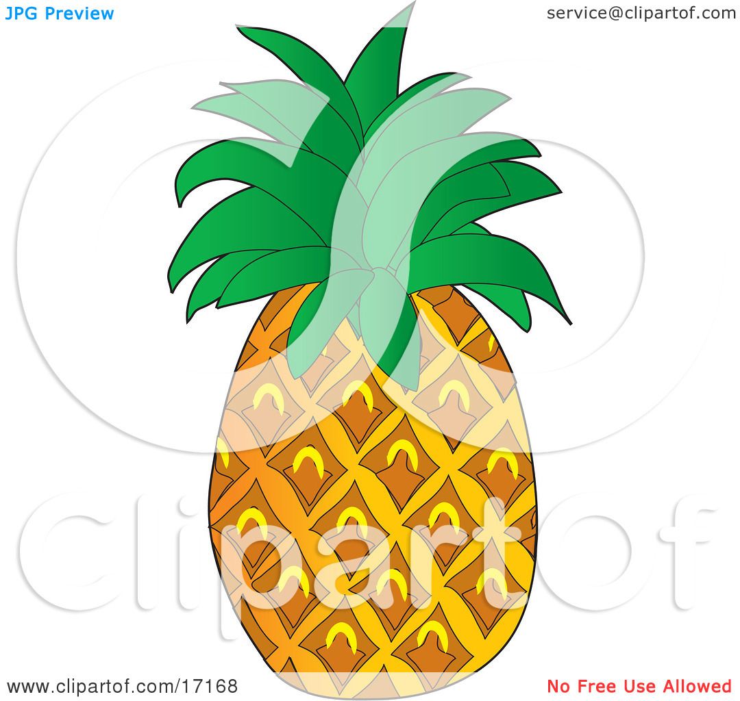 Perfect Pineapple Fruit With Leaves on the Top Clipart ...