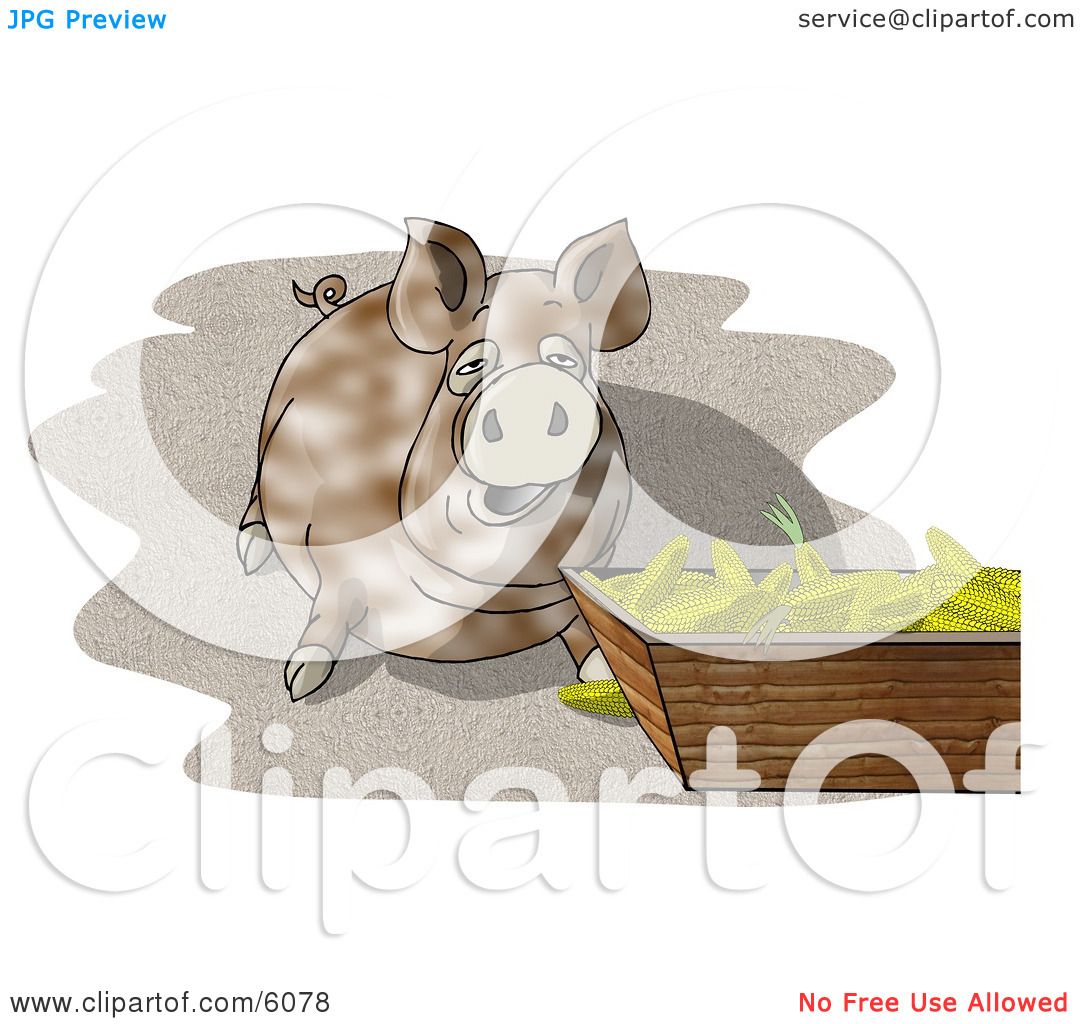 clipart pot bellied pig - photo #3