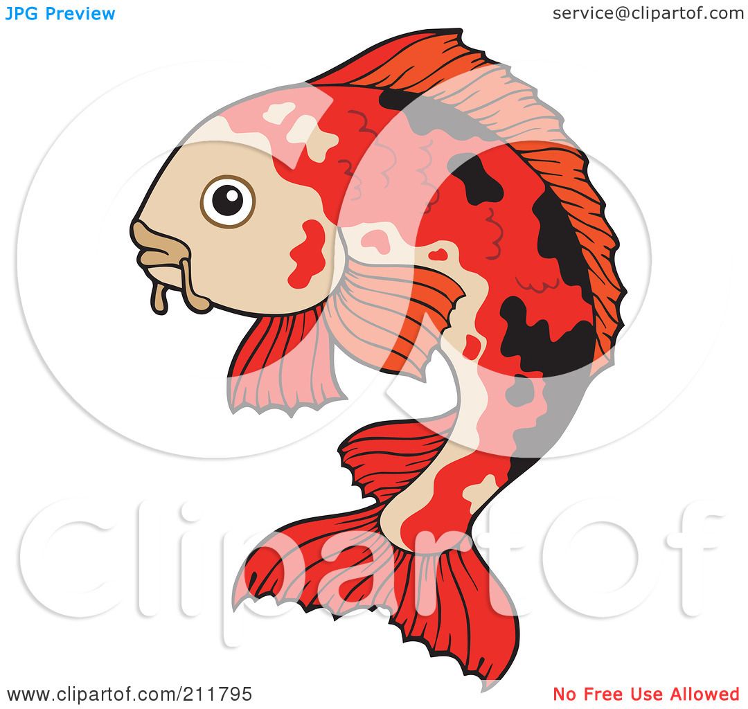Red Koi Fish