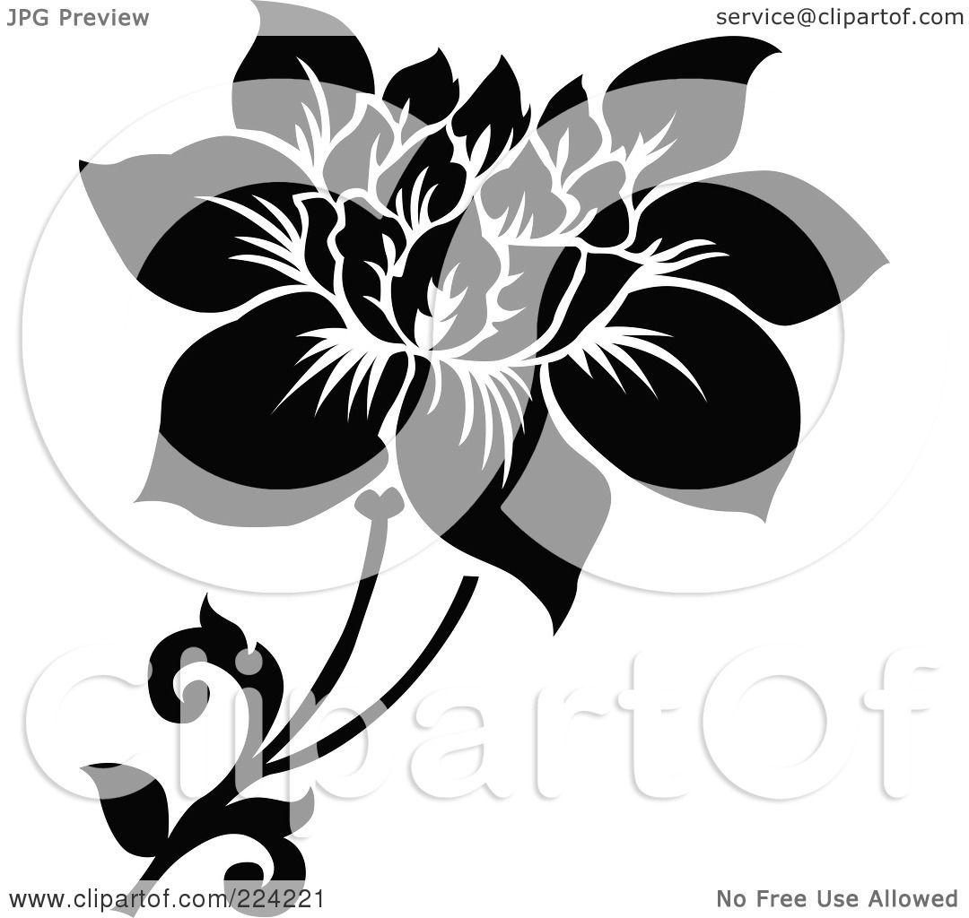 Royalty-Free (RF) Clipart Illustration of a Black And White Flower