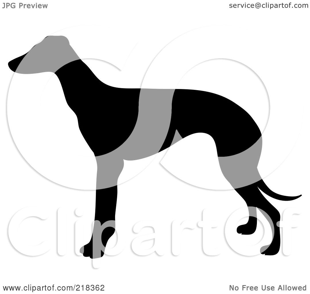 free greyhound dog clipart - photo #30