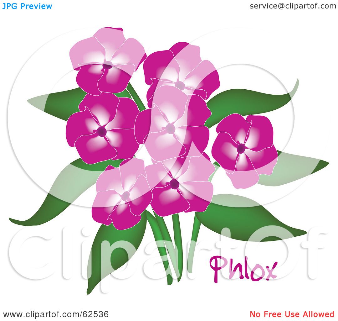 Pink Flower Bouquet Clip Art