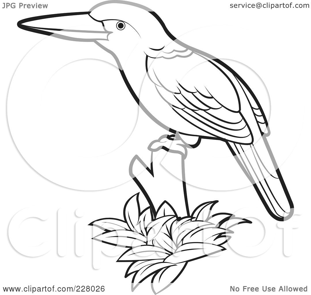 Royalty-Free (RF) Clipart Illustration of a Coloring Page Outline Of A