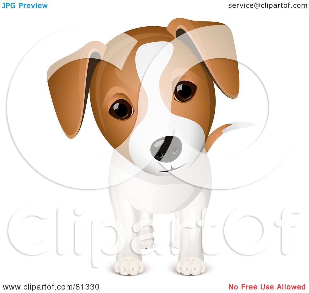 clip art jack russell dog - photo #20