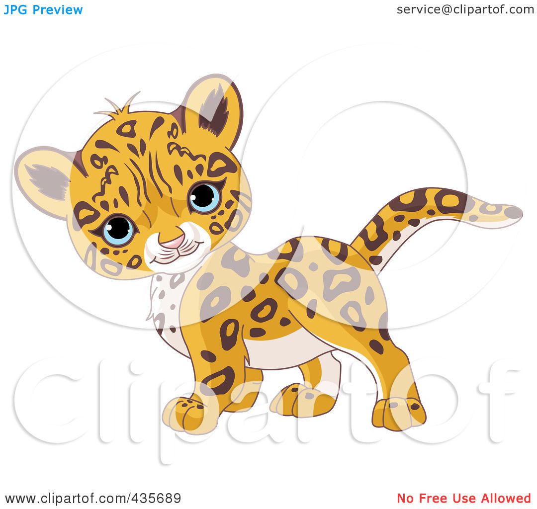 baby jaguar clipart - photo #36