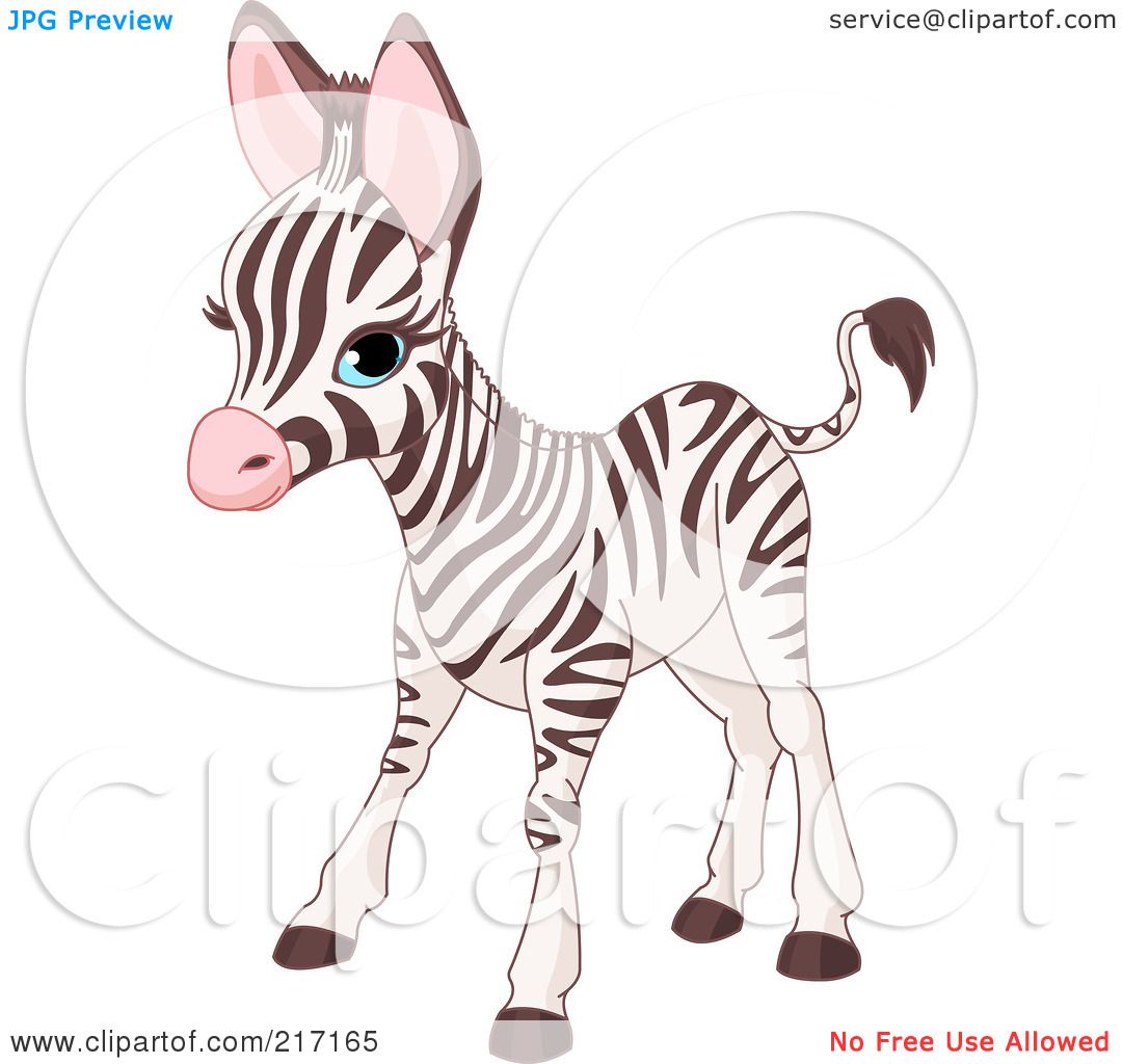free baby zebra clipart - photo #49