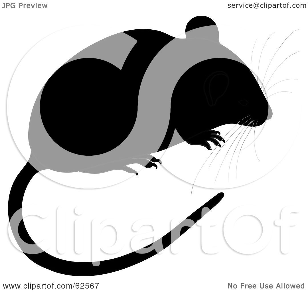 mouse tail clip art - photo #38