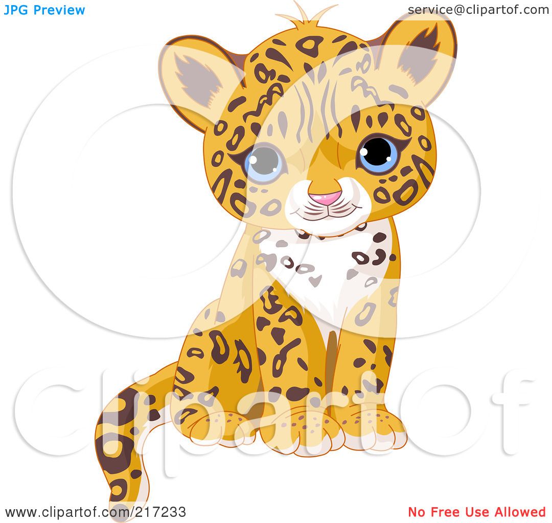 baby jaguar clipart - photo #26