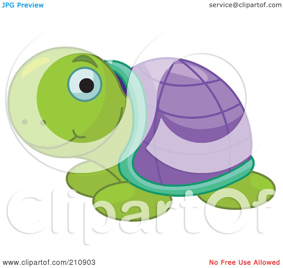 iPHOTOS.com - Royalty Free Clipart Image of a Turtle 