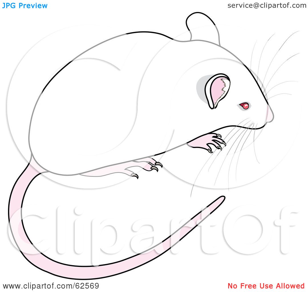 mouse tail clip art - photo #12