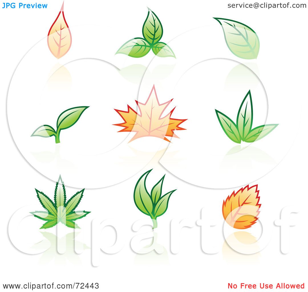 spring leaves clipart - photo #11
