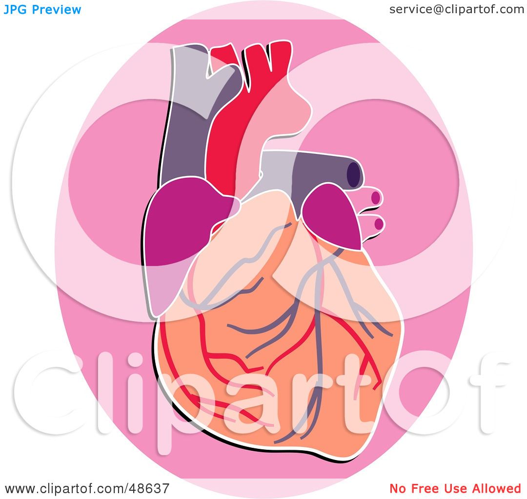 clipart of human heart - photo #29