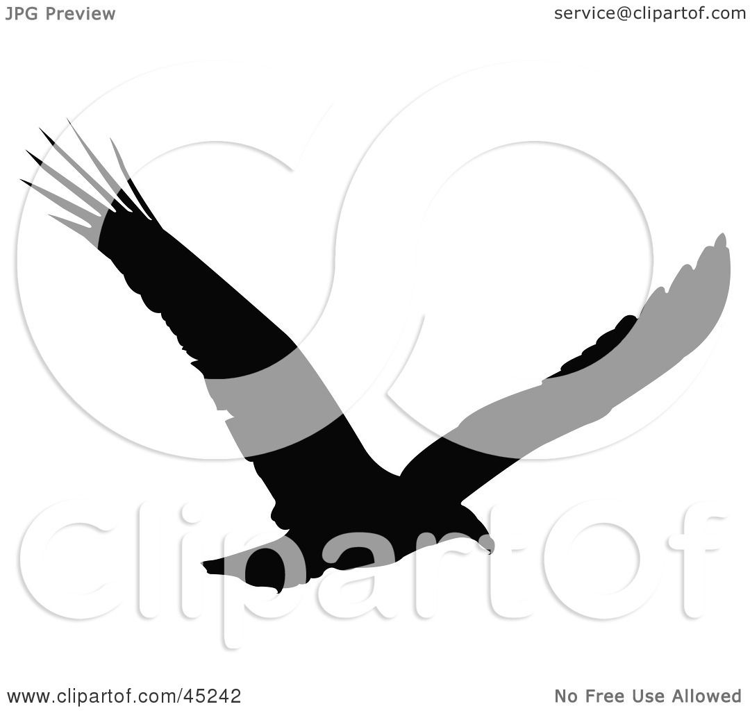 soaring eagle clipart black and white - photo #21