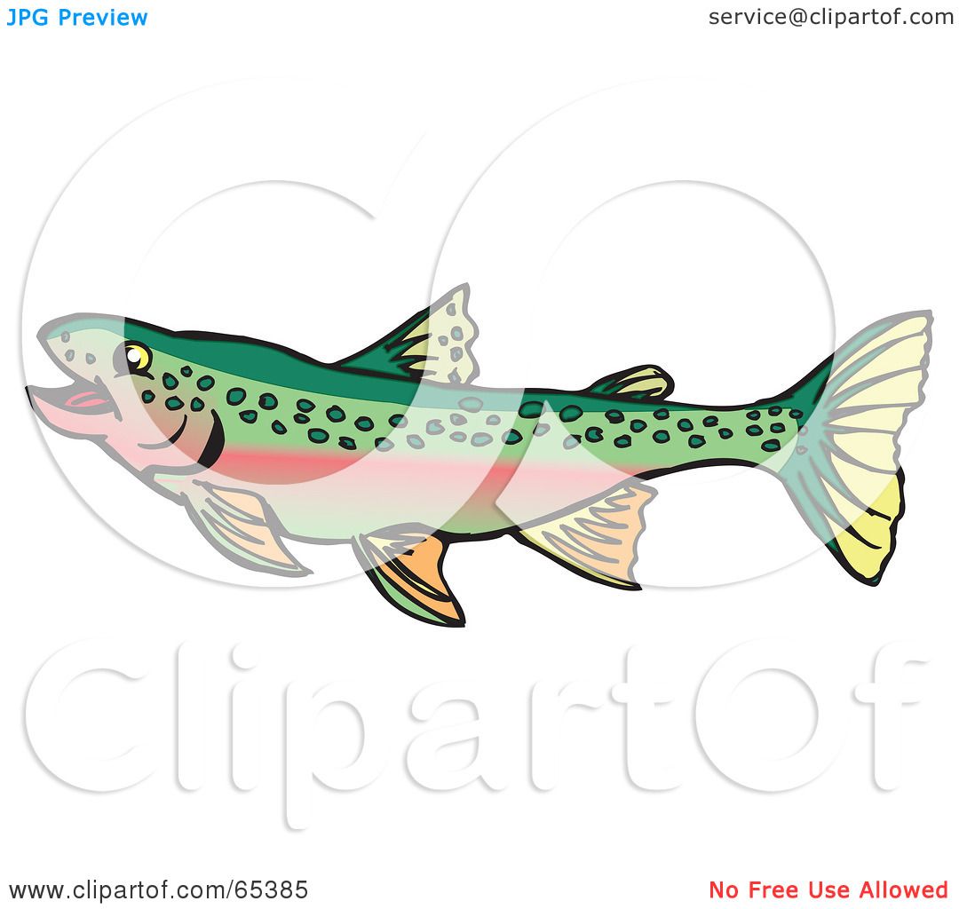 clipart rainbow trout - photo #49