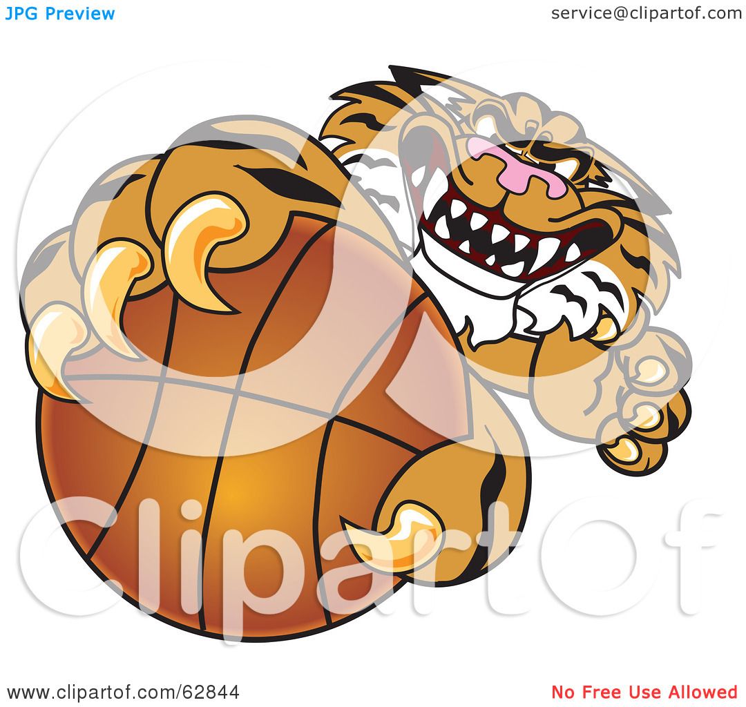 tiger basketball clipart - photo #23