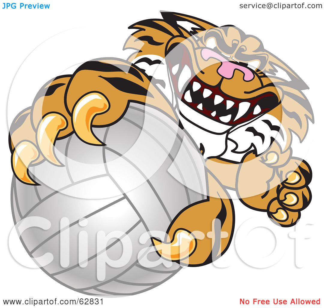 tiger volleyball clipart - photo #37