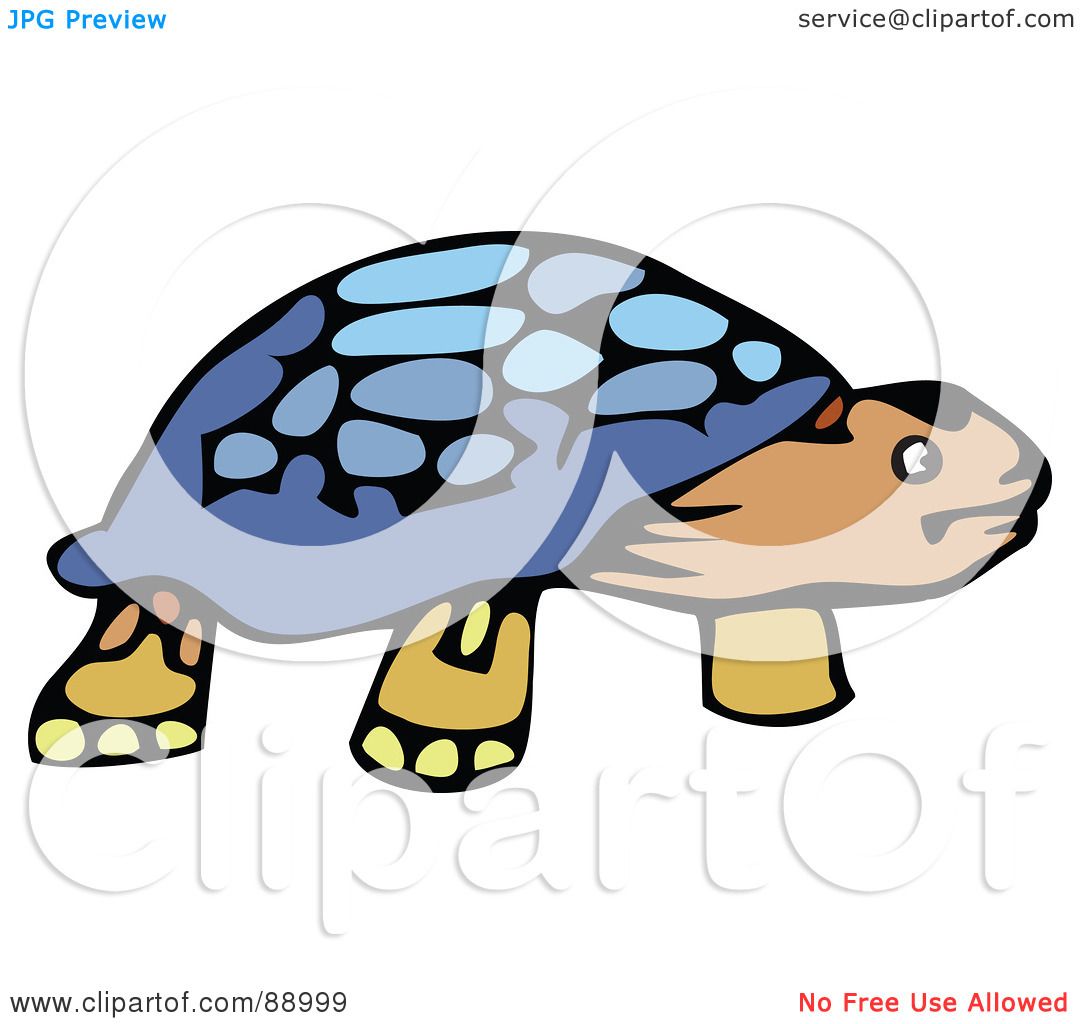Best Turtle Illustrations, Royalty-Free Vector Graphics 