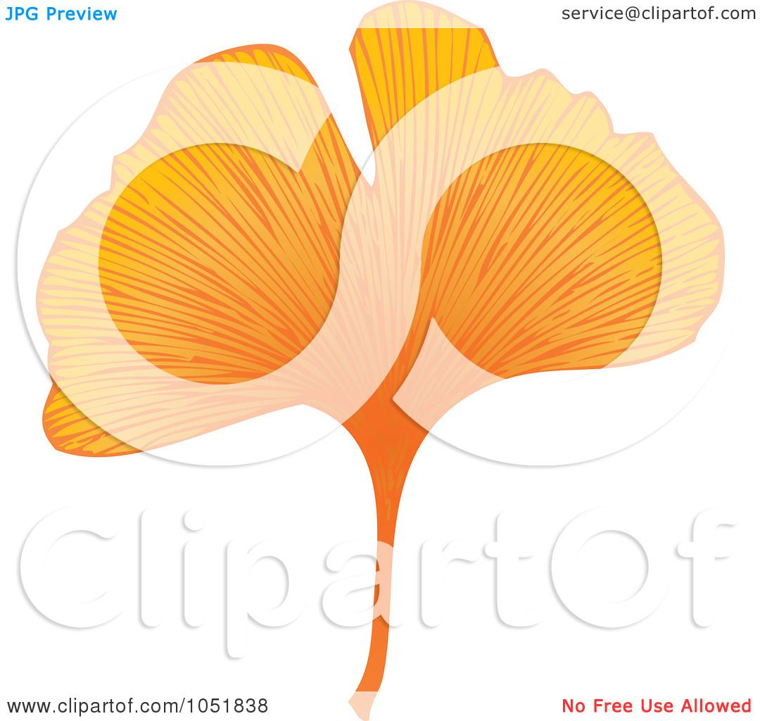 clip art ginkgo leaf - photo #9