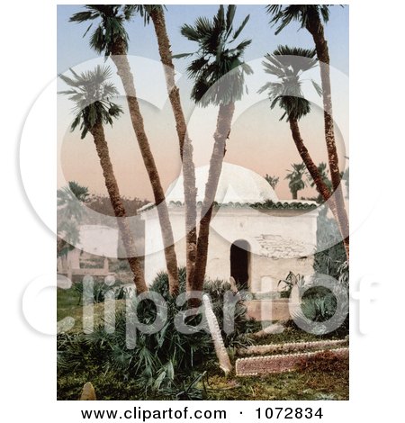 Photochrom of a Chapel Under Palm Trees at a Cemetery, Algeria 