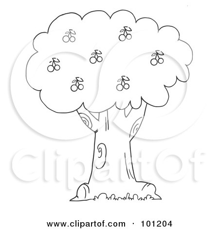 Basketball Coloring Pages on Coloring Page Outline Of A Cherry Tree Posters  Art Prints By Hit Toon