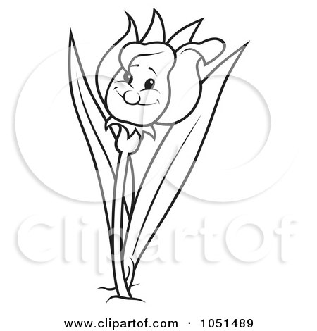 tulip outline drawing