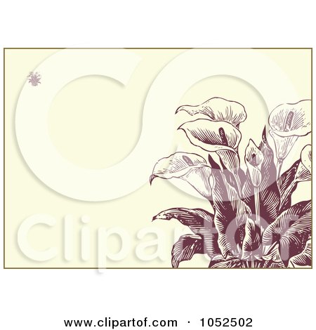 RoyaltyFree Vector Clip Art Illustration of a Calla Lily Flower Invitation 