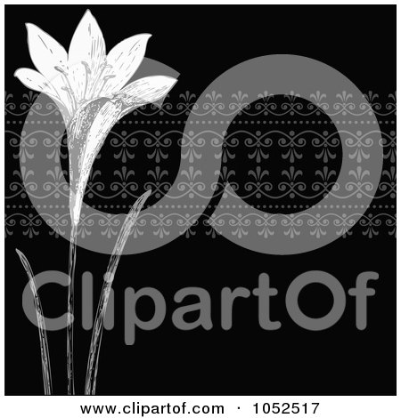  Clip Art Illustration of a Black And White Lily Invitation Background by
