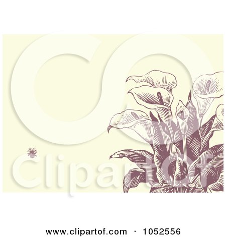 Illustration Vector Free on Royalty Free Vector Clip Art Illustration Of A Calla Lily Flower